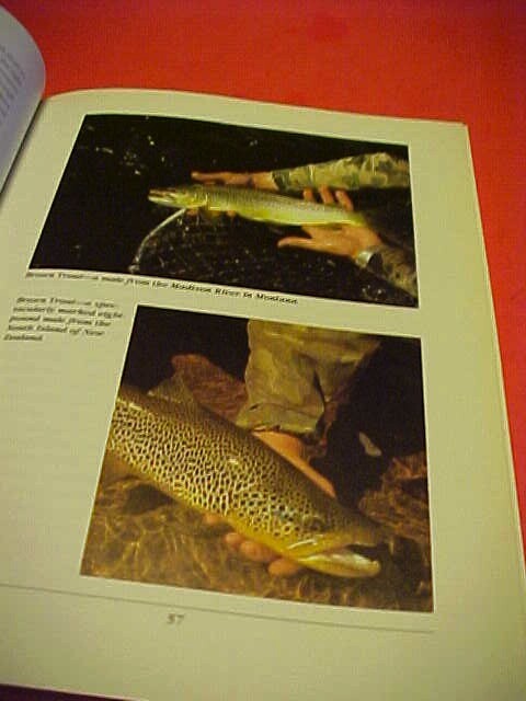 THE ILLUSTRATED ENCYCLOPEDIA OF FLY-FISHING BY SILVIO CALABI ((O)) 336 PAGES