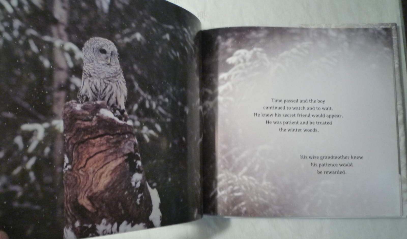 The Magic of the Forest Jacqueline Crivello Hardcover SIGNED NEW