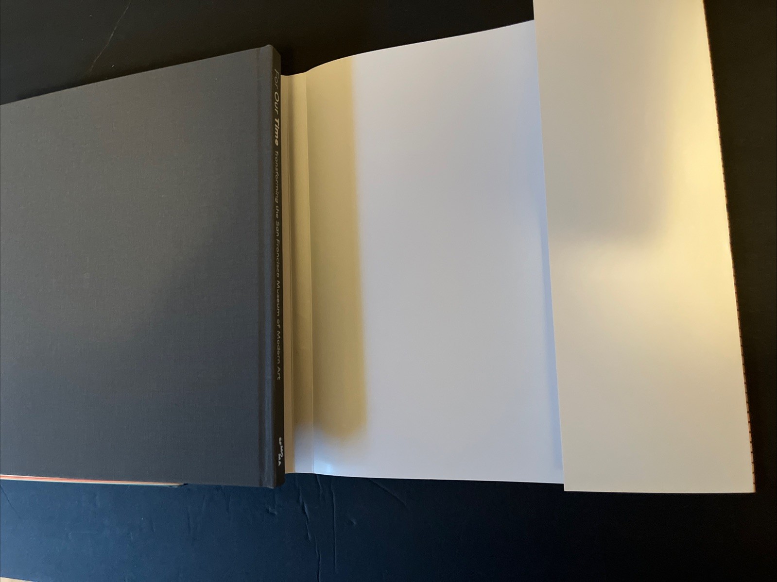 San Francisco MOMA Set Of 2 Books~ For Our Time & Compaign For Art
