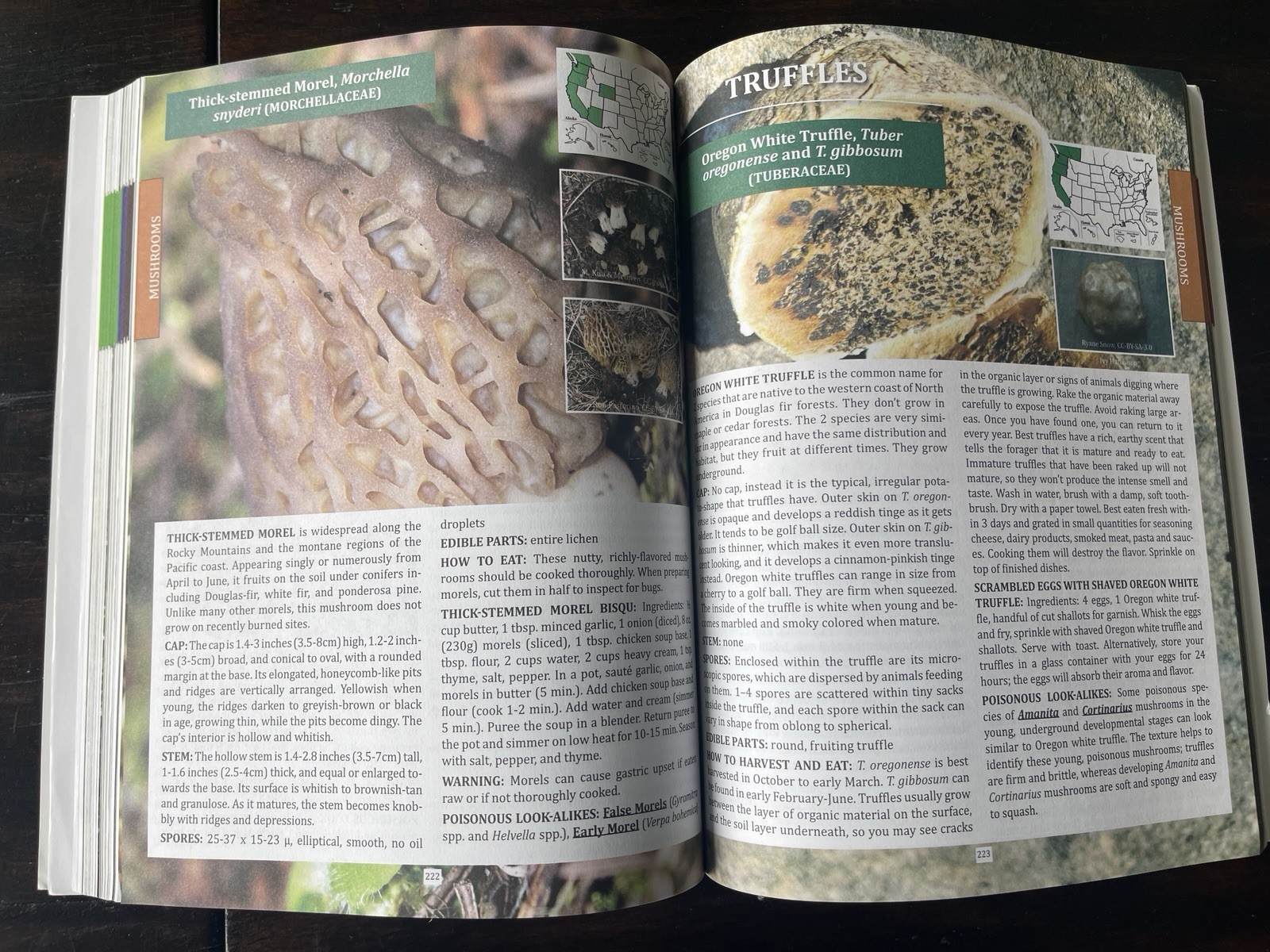 The Forager’s Guide to Wild Foods North American Edition by Nicole Apelian