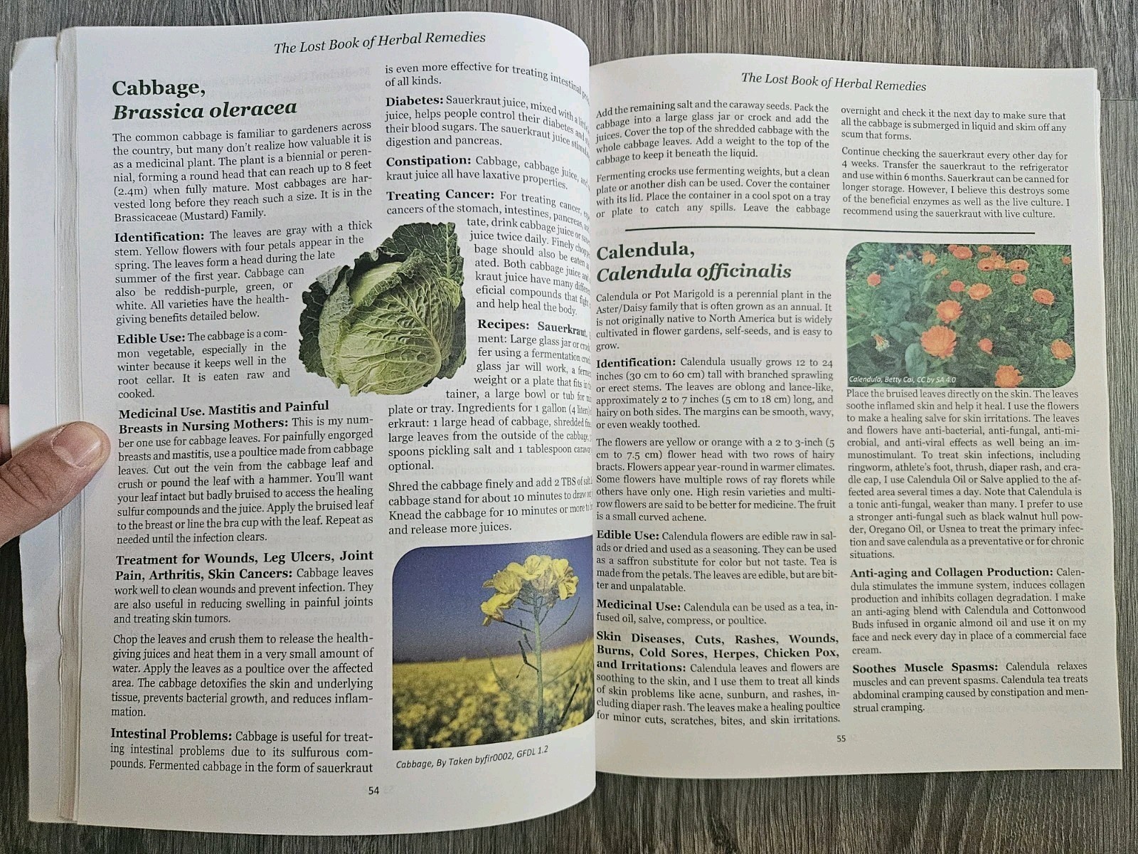 The Lost Book of Herbal Remedies – Claude Davis, Nicole Apelian Ph.D- VG