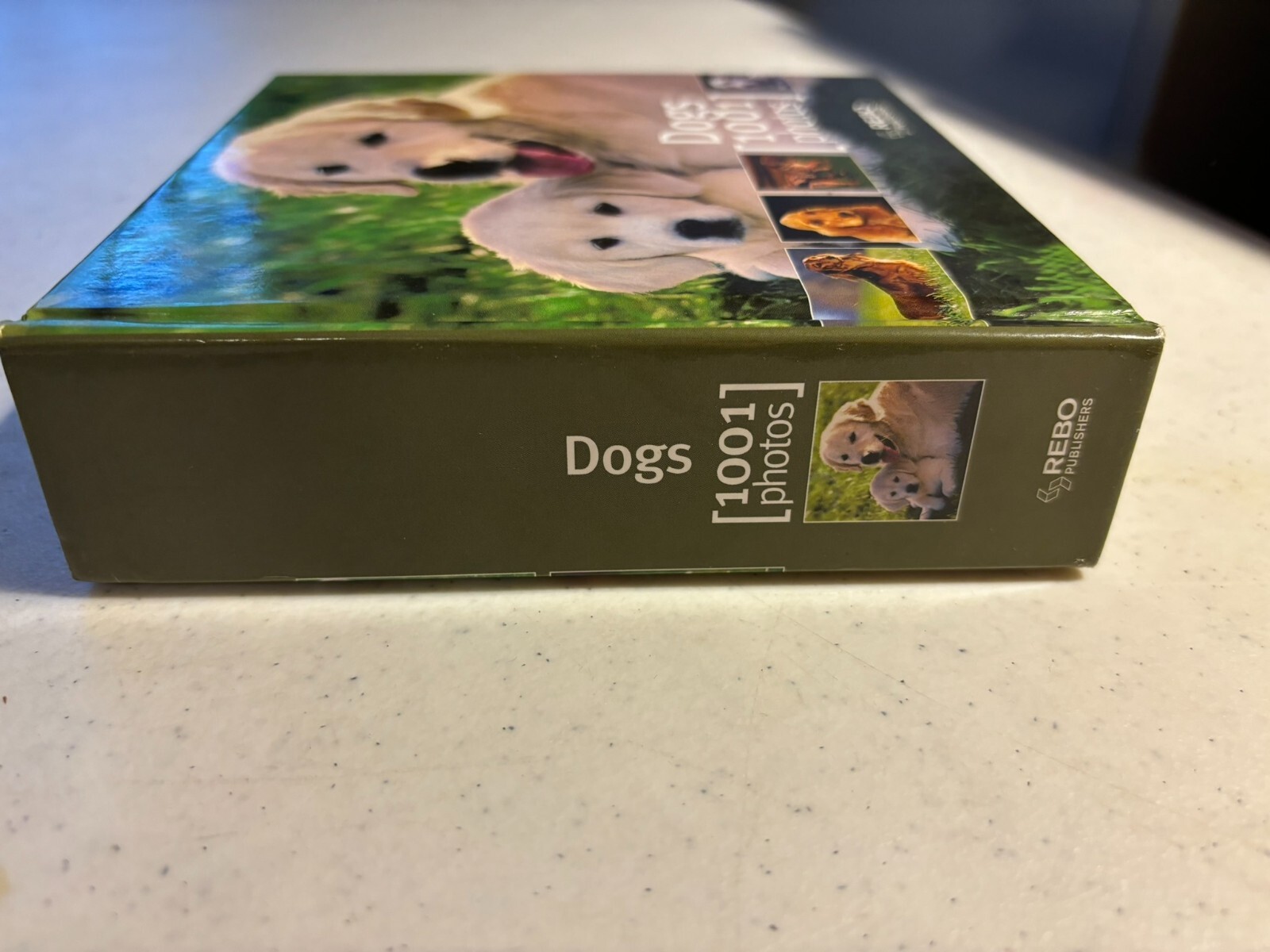 Dogs 1001 Photos (Cubebooks) Book 464 illustrated pages New