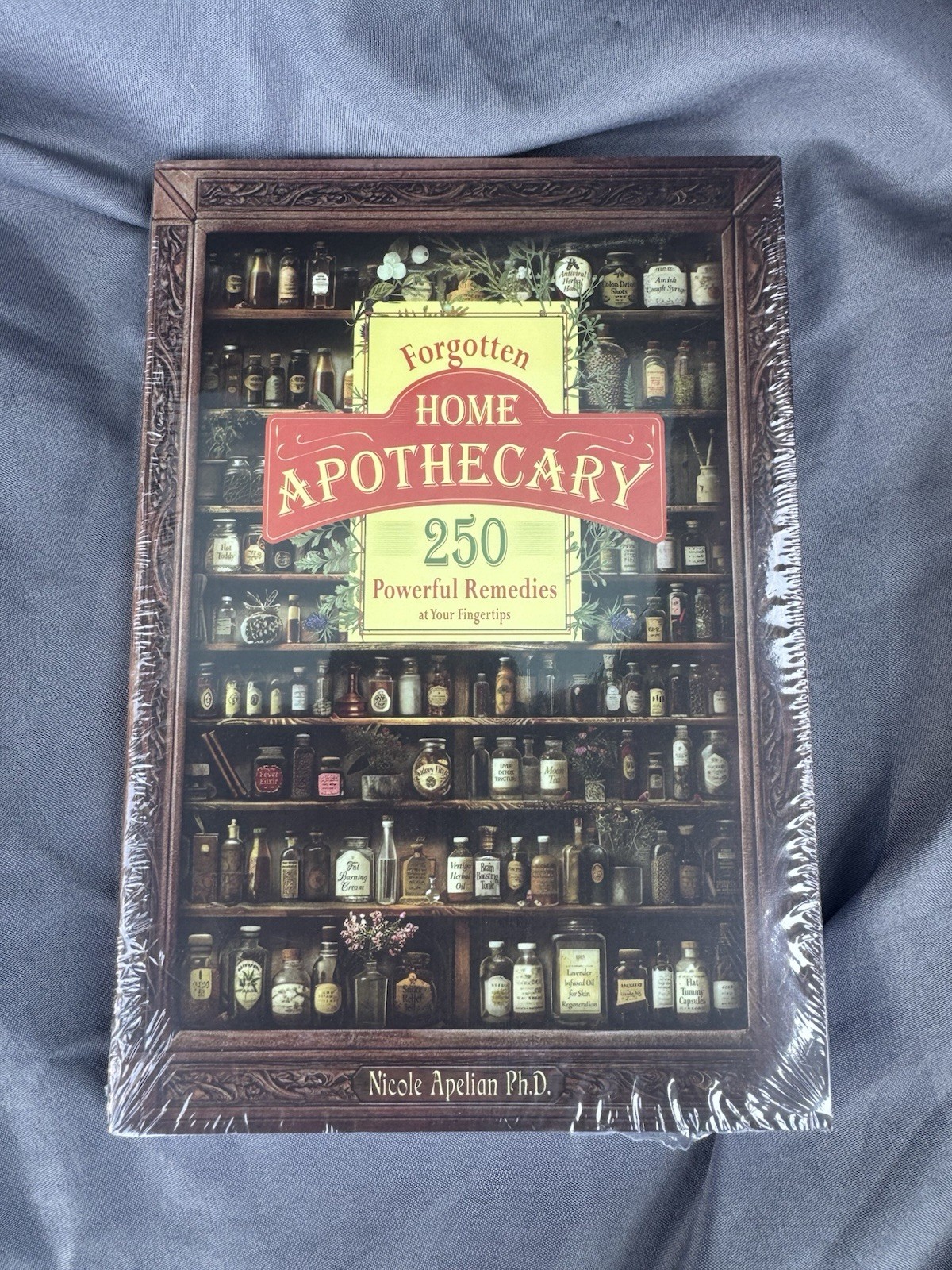 Forgotten Home Apothecary 250 Powerful Remedies — Paperback –New