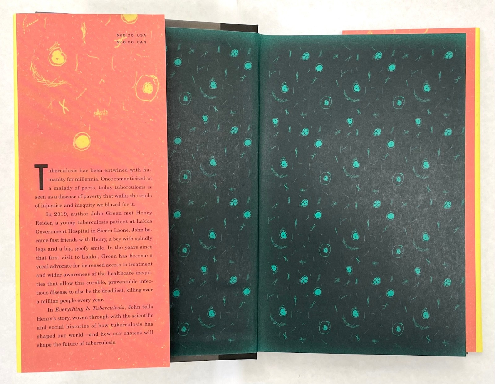 EVERYTHING IS TUBERCULOSIS: The History Of Our Deadliest Infection by John Green