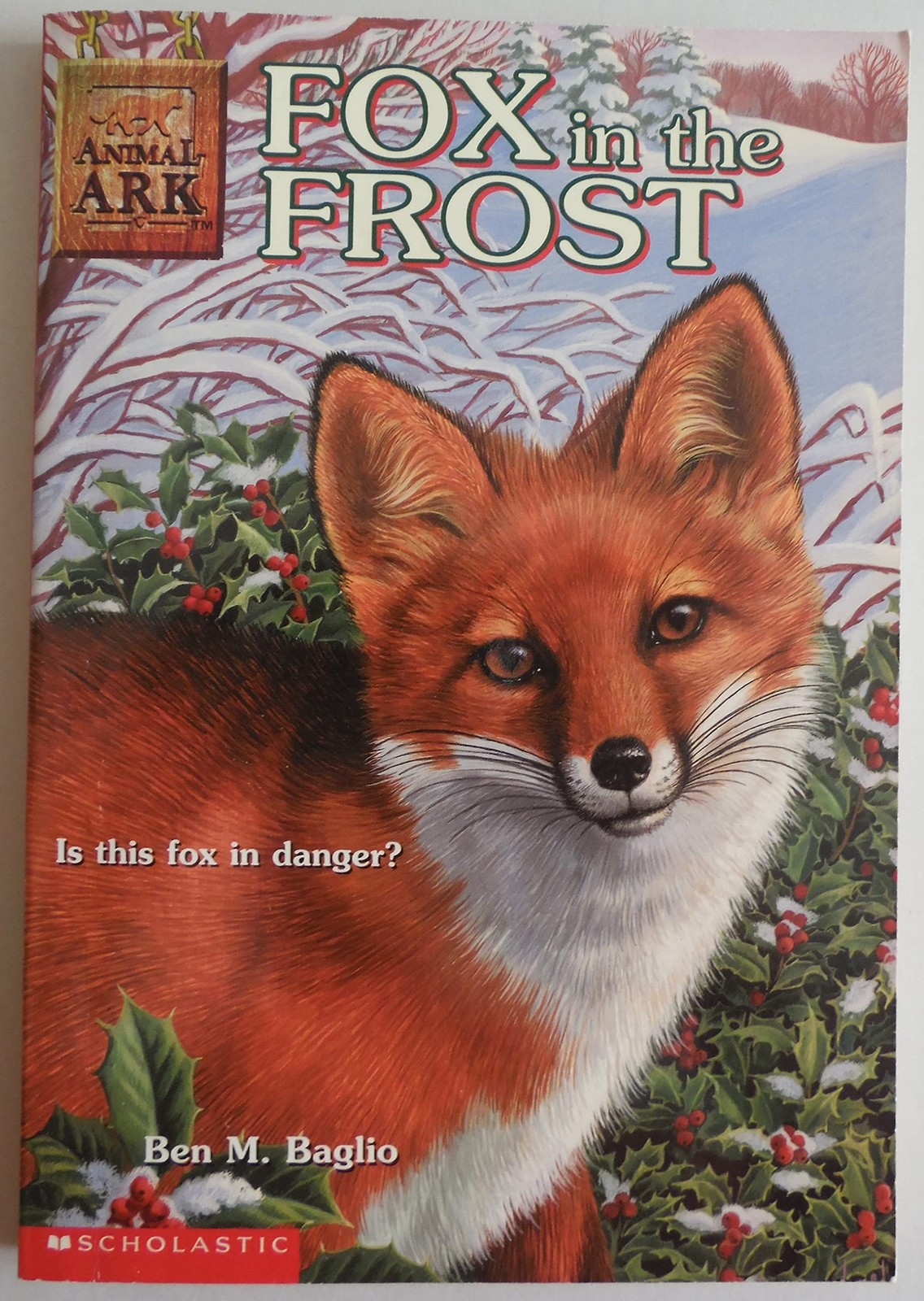 Fox in the Frost