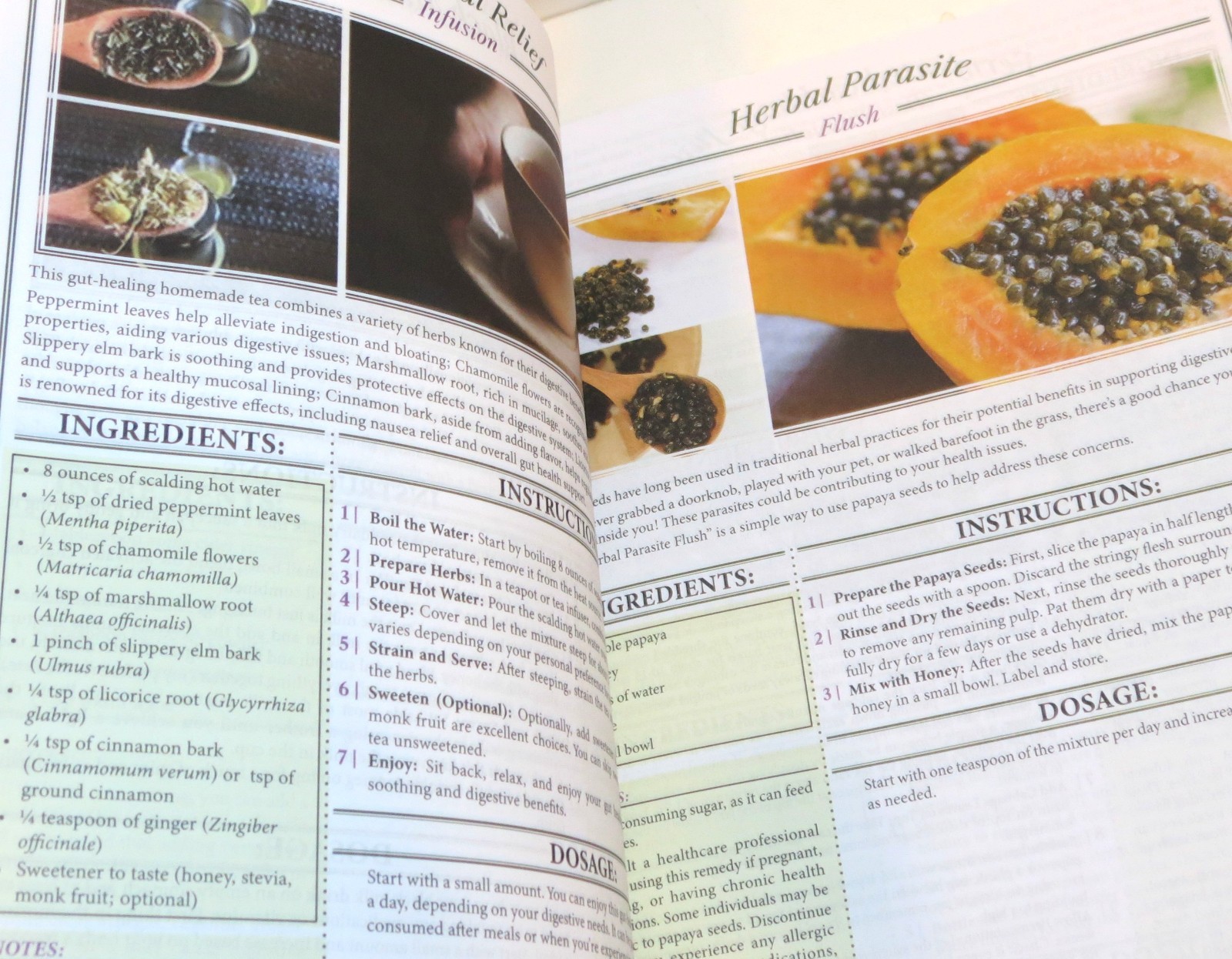 Forgotten HOME APOTHECARY 250 Powerful Remedies Nicole Apelian SB 2024 Preppers