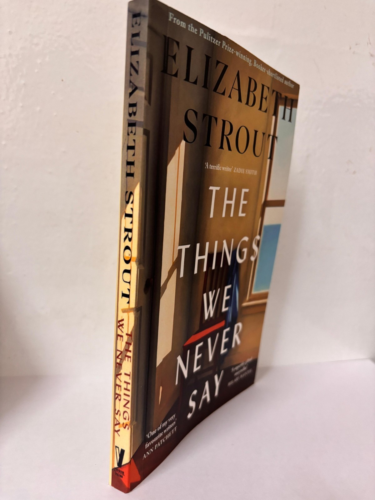 The Things We Never Say by Elizabeth Strout Paperback New Book usa stock
