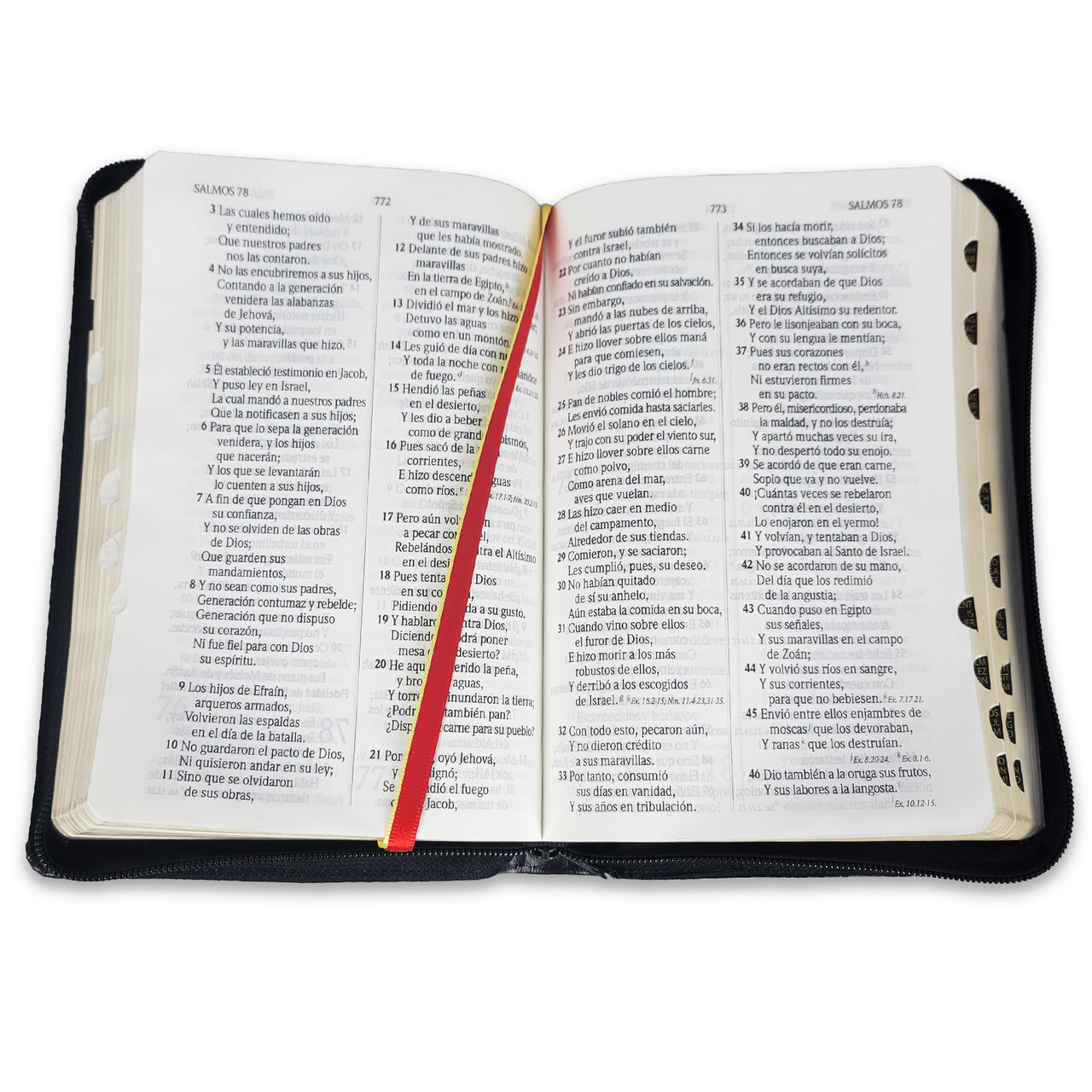 Biblia Letra Grande con Cierre y Concordancia Amplia RV1960 negro con indice