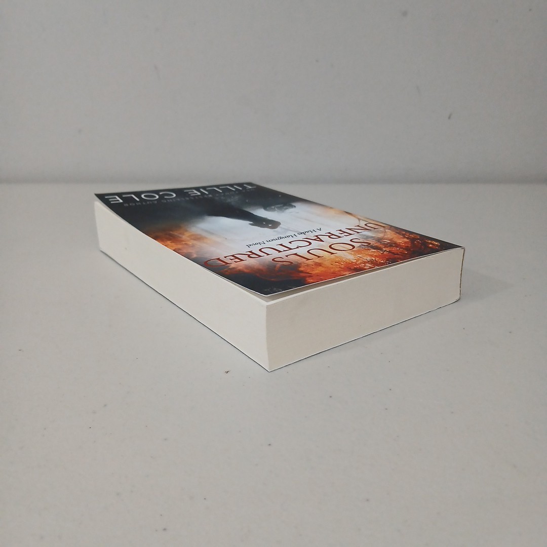 Tillie Cole Souls Unfractured Hades Hangmen Series Book #3 -Very Rare OOP Series
