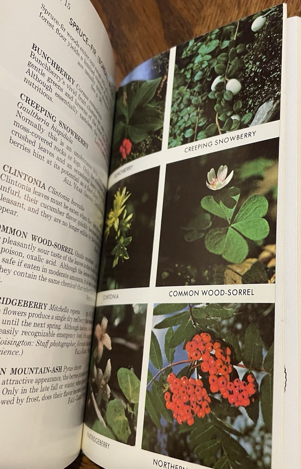 Easton Press Edible Wild Plants Of Eastern/Central North America 50th An Leather