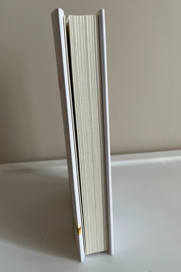 🌟THE CORRESPODENT: A Novel by Virginia Evans 📔Hardcover PEN/Hemingway Award 🌟