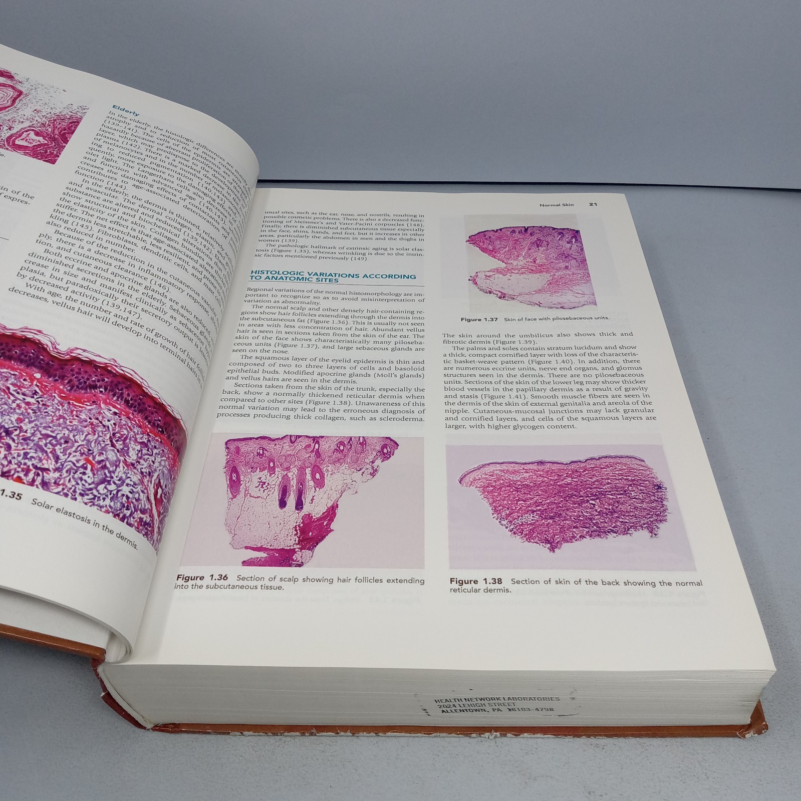Histology for Pathologists: 3rd Edition 2007 Hardcover by Stacey E. Mills