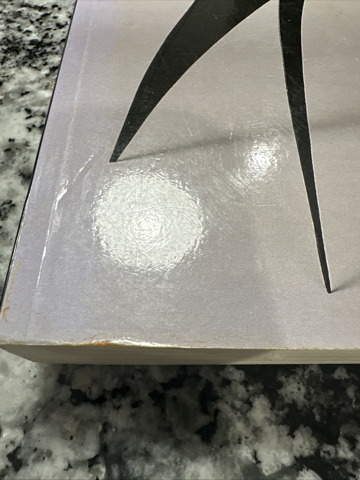 Alexander Calder 1898-1976 Art Book National Gallery Exhibition 1998 Printing