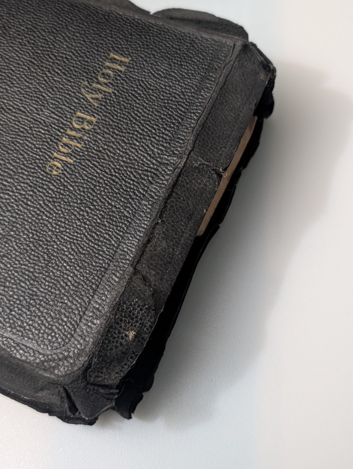 Vintage Holy Bible Illustrated With the Words of Christ Printed in Red (1940’s)