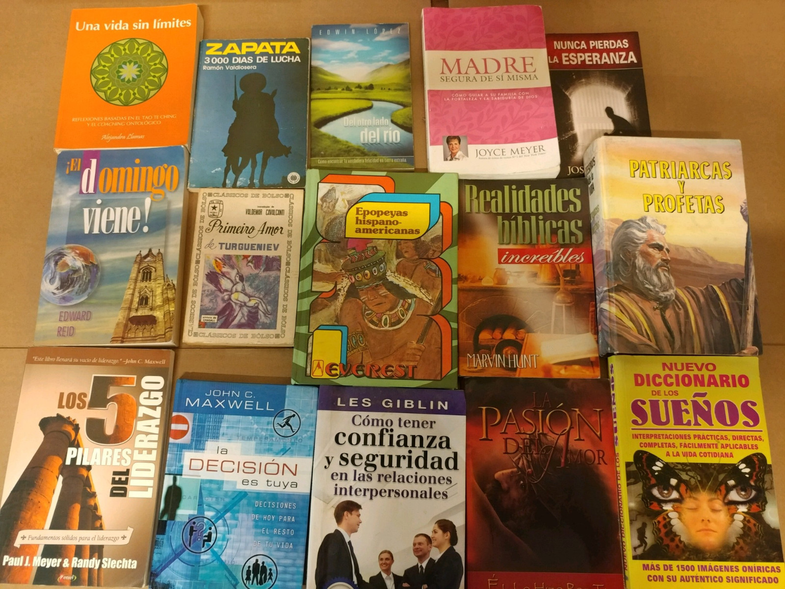 Lot of 20 Spanish ESPAÑOL Reading MEXICO Literature Books *RANDOM* UNSORTED MIX
