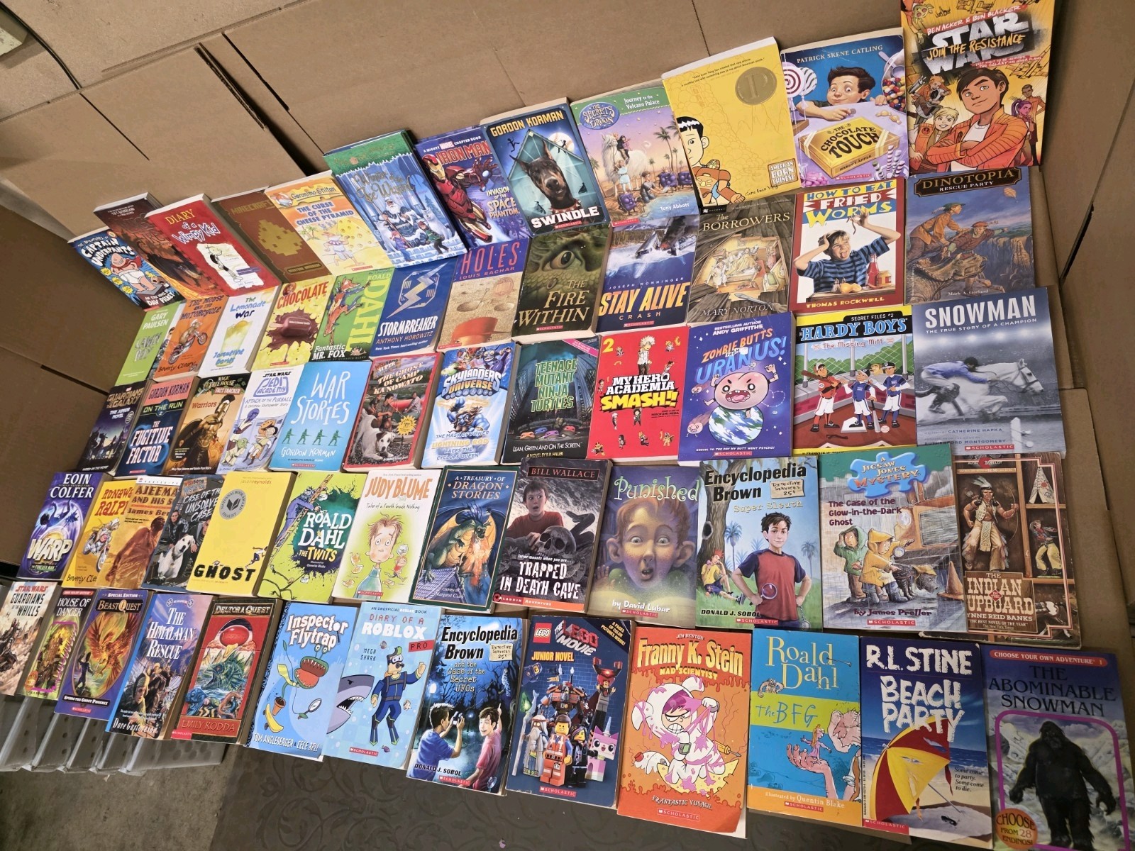 Lot of 20 Chapter Books for BOYS Youth Early Reader Young Adults Children RANDOM