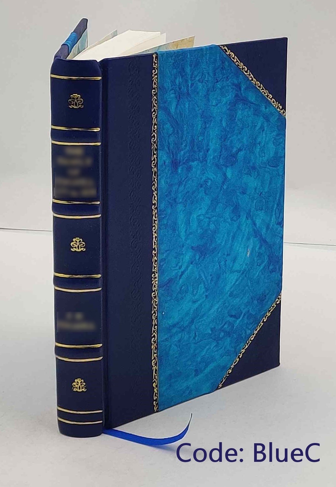 Iulianos der Abtruennige: Syrische Erzaehlungen (Julian the Apos [Leather Bound]