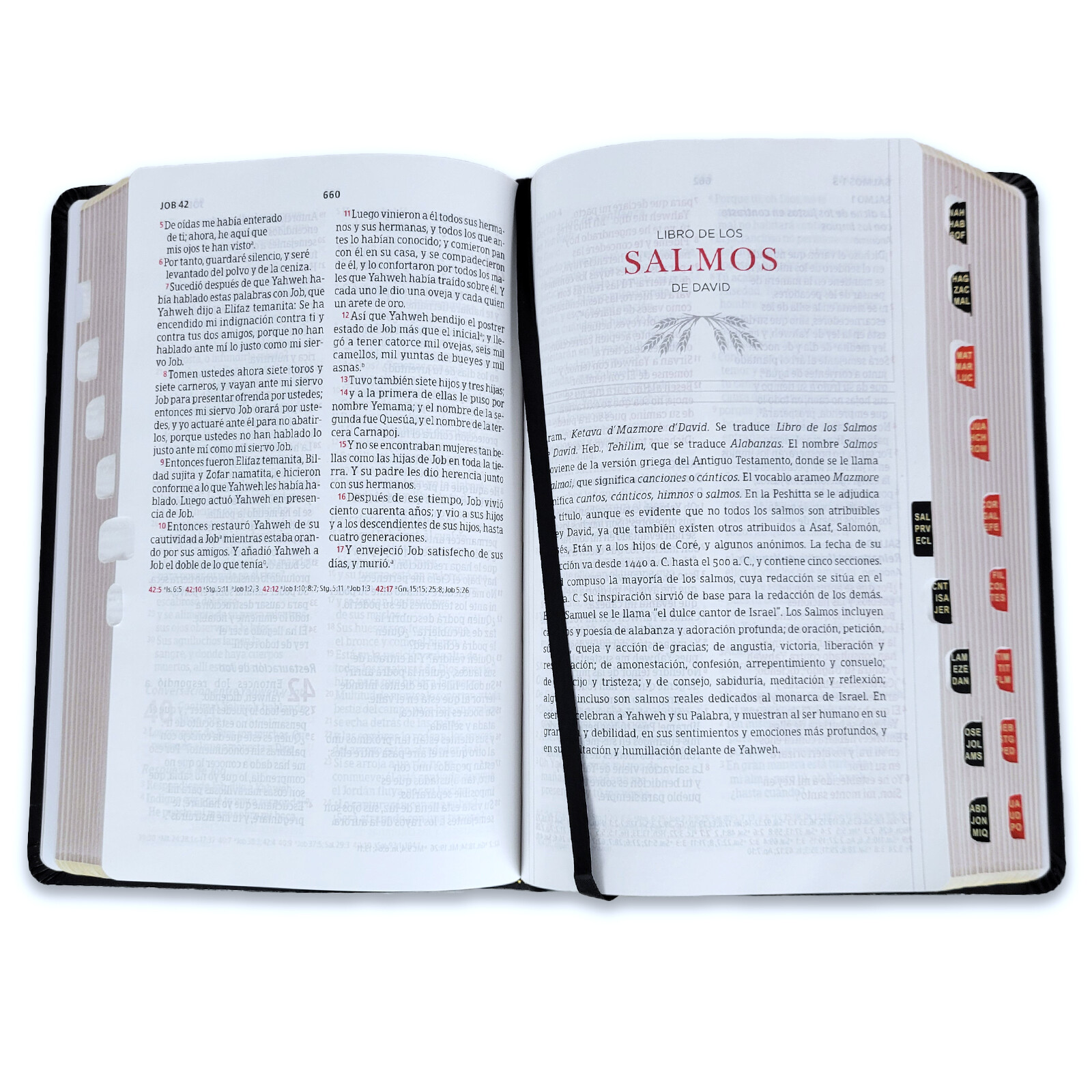Biblia Peshitta Pastoral del Araemo de los antiguos manuscritos con indice