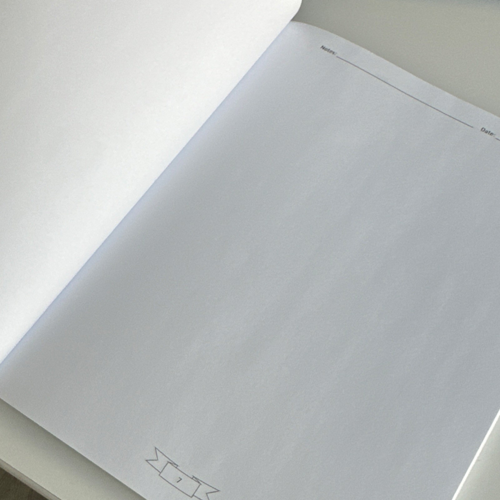 Chanel Notebook Luxury Design English Paperback 2018 11×8.5in