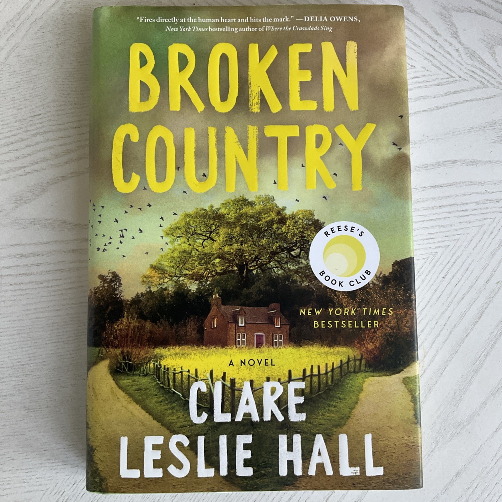 Broken Country by Clare Leslie Hall, Hardcover, Picador, Reese’s Book Club