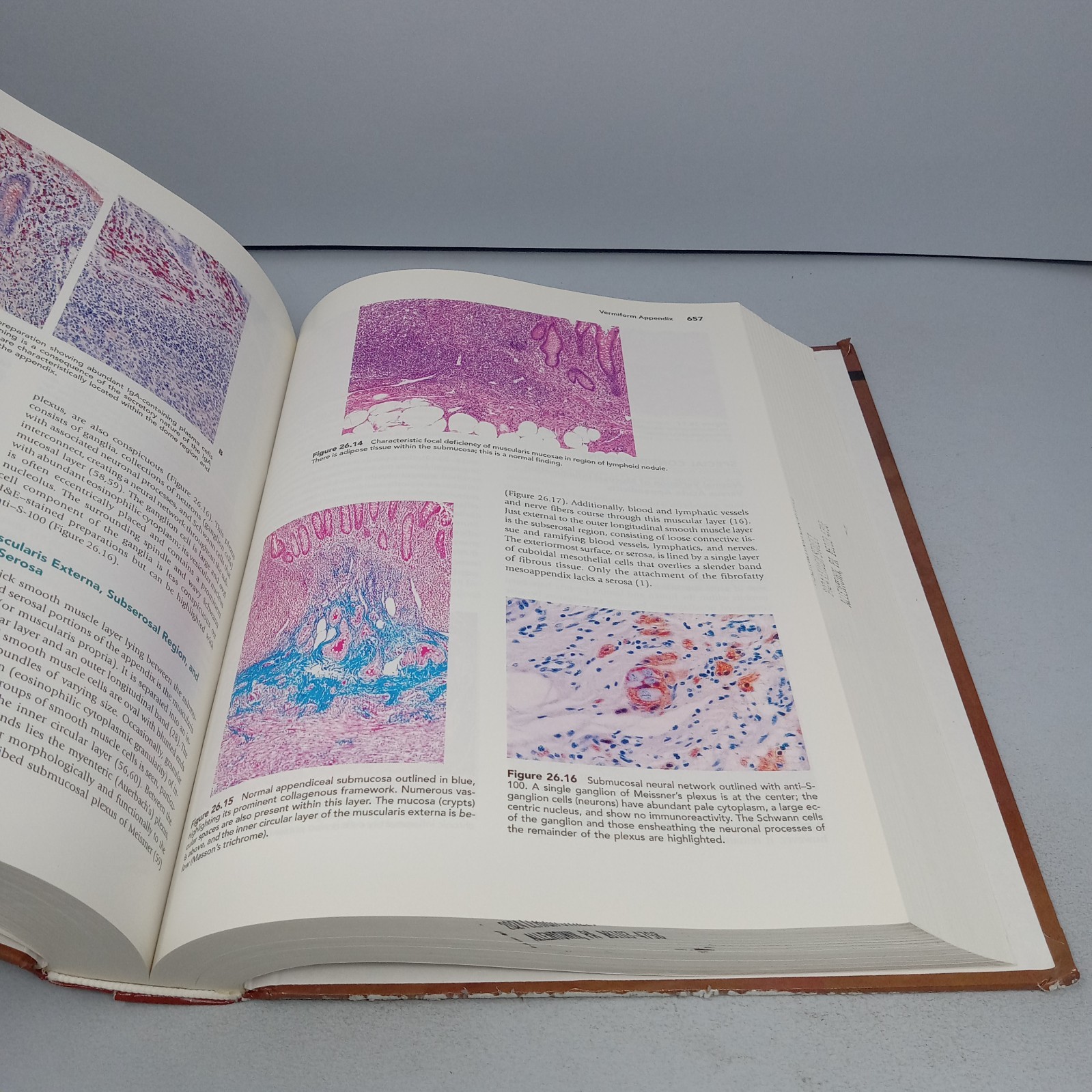 Histology for Pathologists: 3rd Edition 2007 Hardcover by Stacey E. Mills