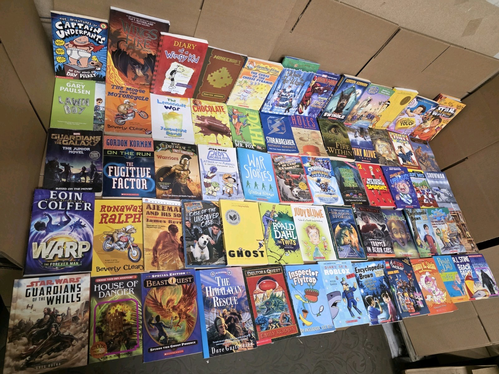 Lot of 20 Chapter Books for BOYS Youth Early Reader Young Adults Children RANDOM