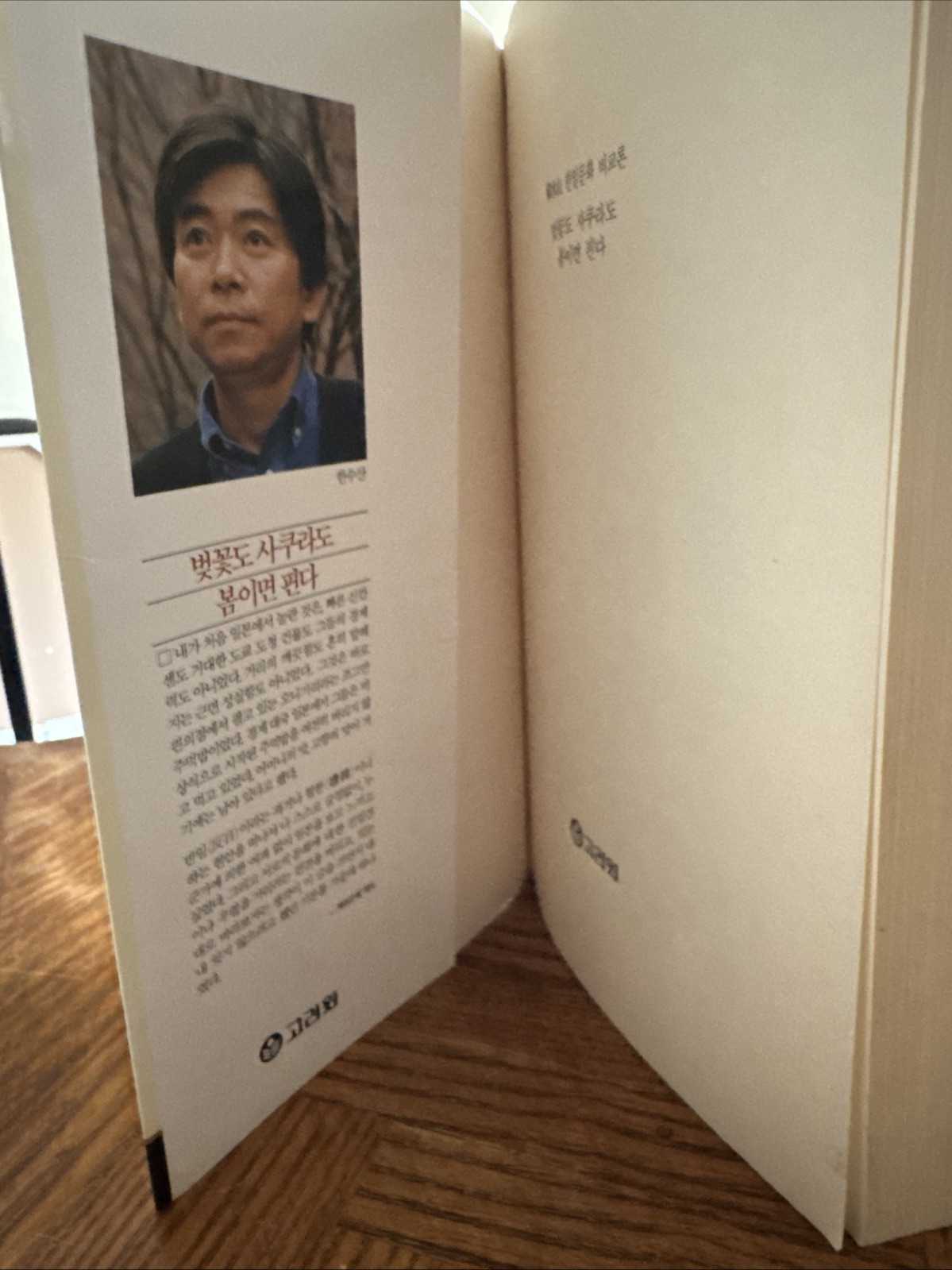 벚꽃도 사쿠라도 봄이면 핀다 (Both Cherry Blossoms & Sakura Bloom in Spring) Paperback Korea