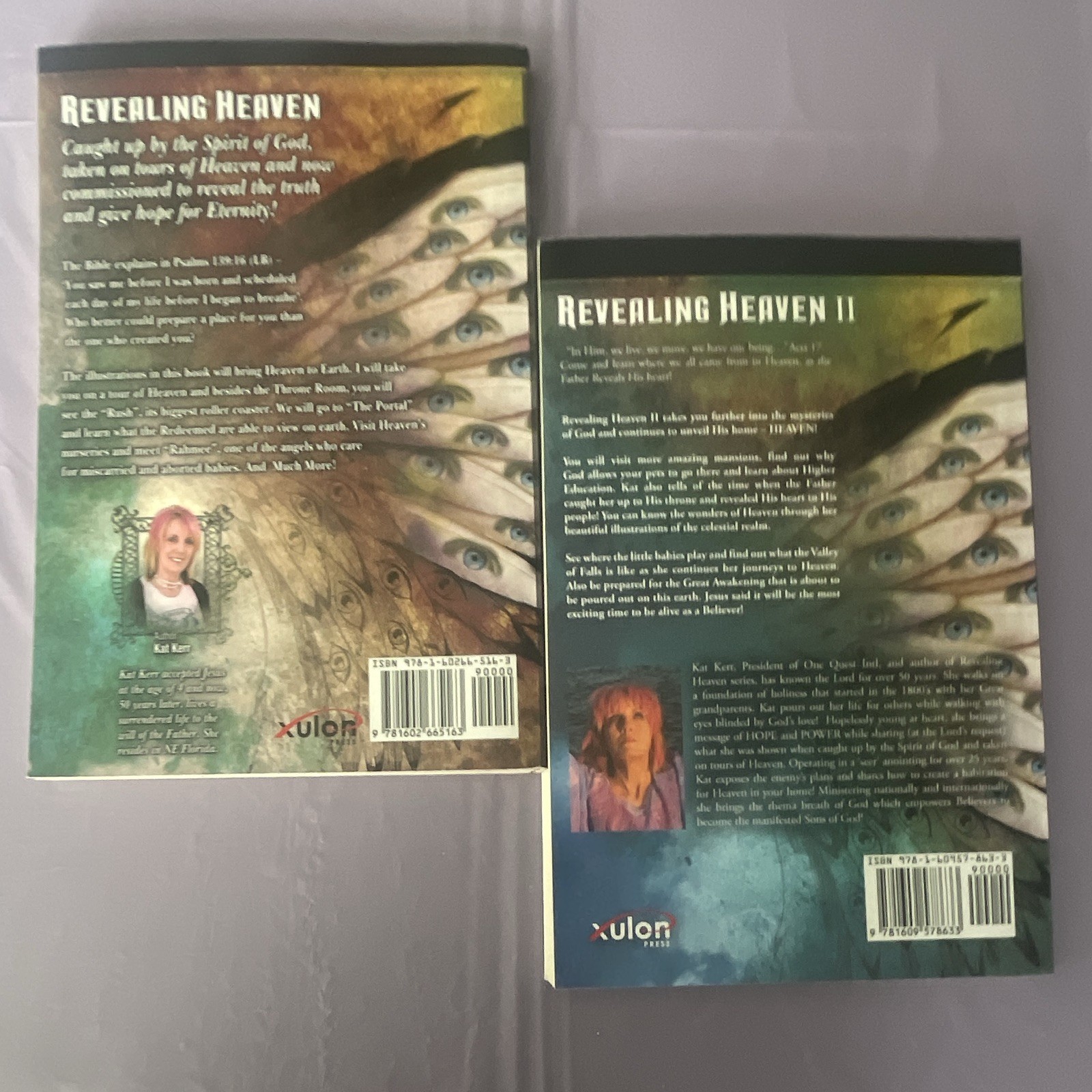Christian Fiction Lot: Lucado, Reid, Lewis, Kerr – Adult, Dust Jacket, 2010s