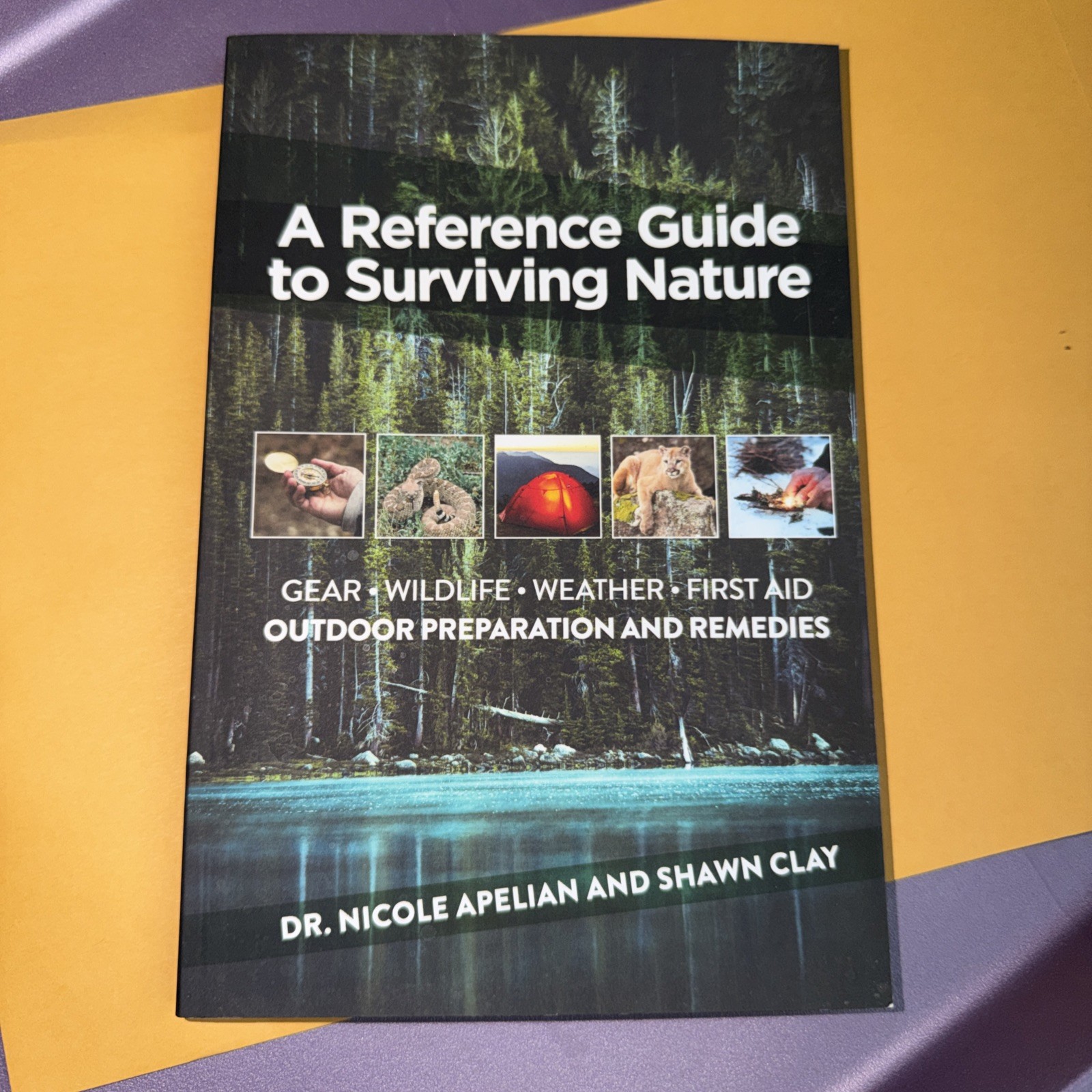 Reference Guide to Survivng Nature : Outdoor Preparation and Remedies by…