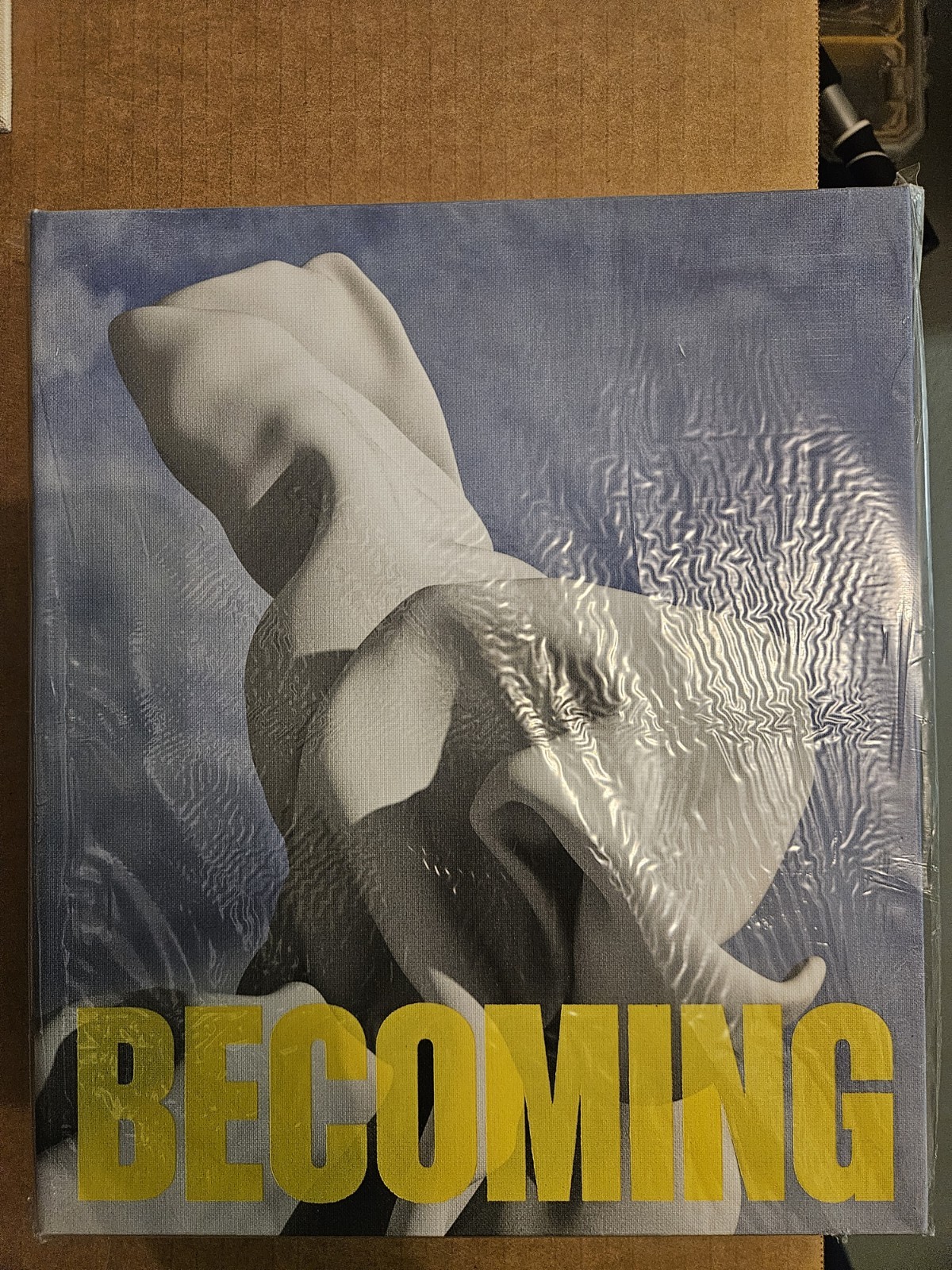 Amir Zaki, Building and Becoming by Amir Zaki (2022, Hardcover)
