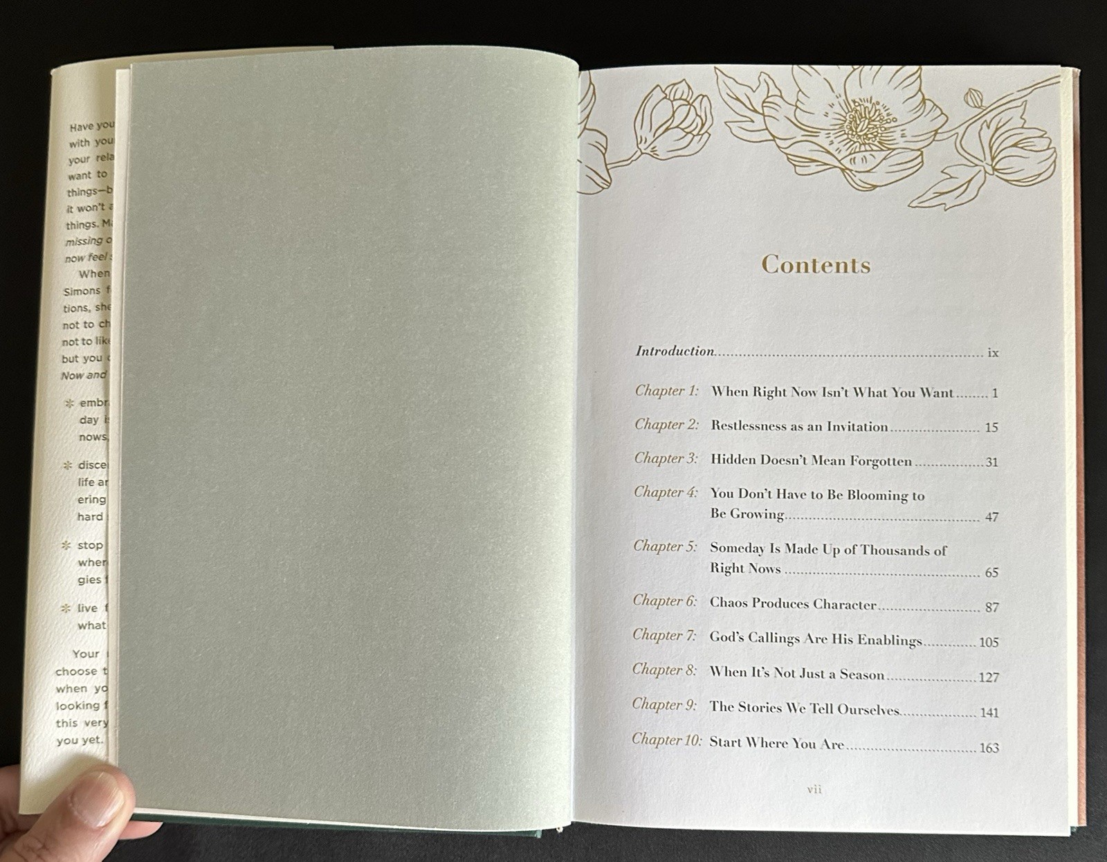 Now And Not Yet New Hardcover Book By Ruth Chou Simons