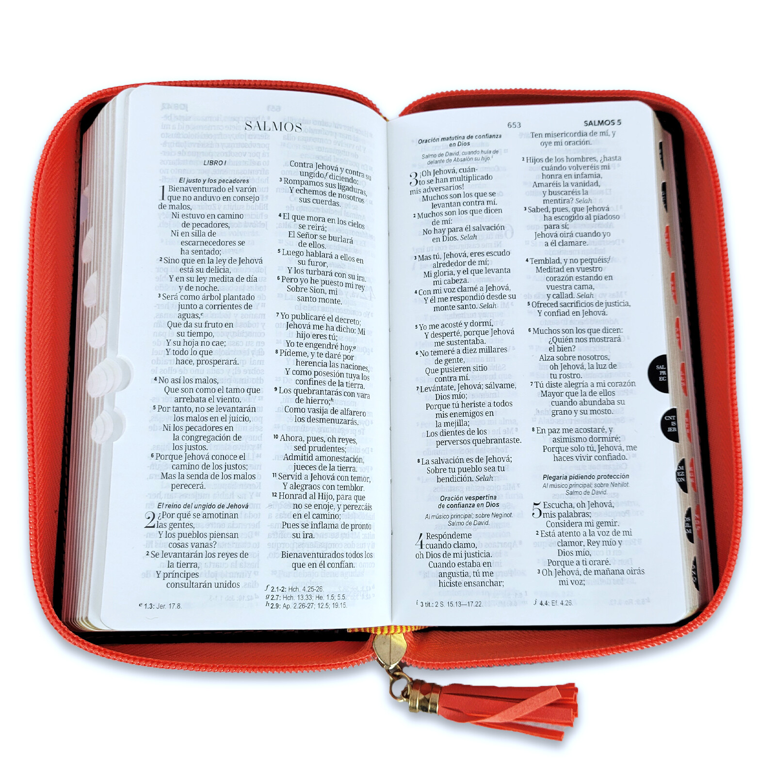 Biblia Chequera Letra 8.5 puntos RV1960 imit piel coral y beige con indice