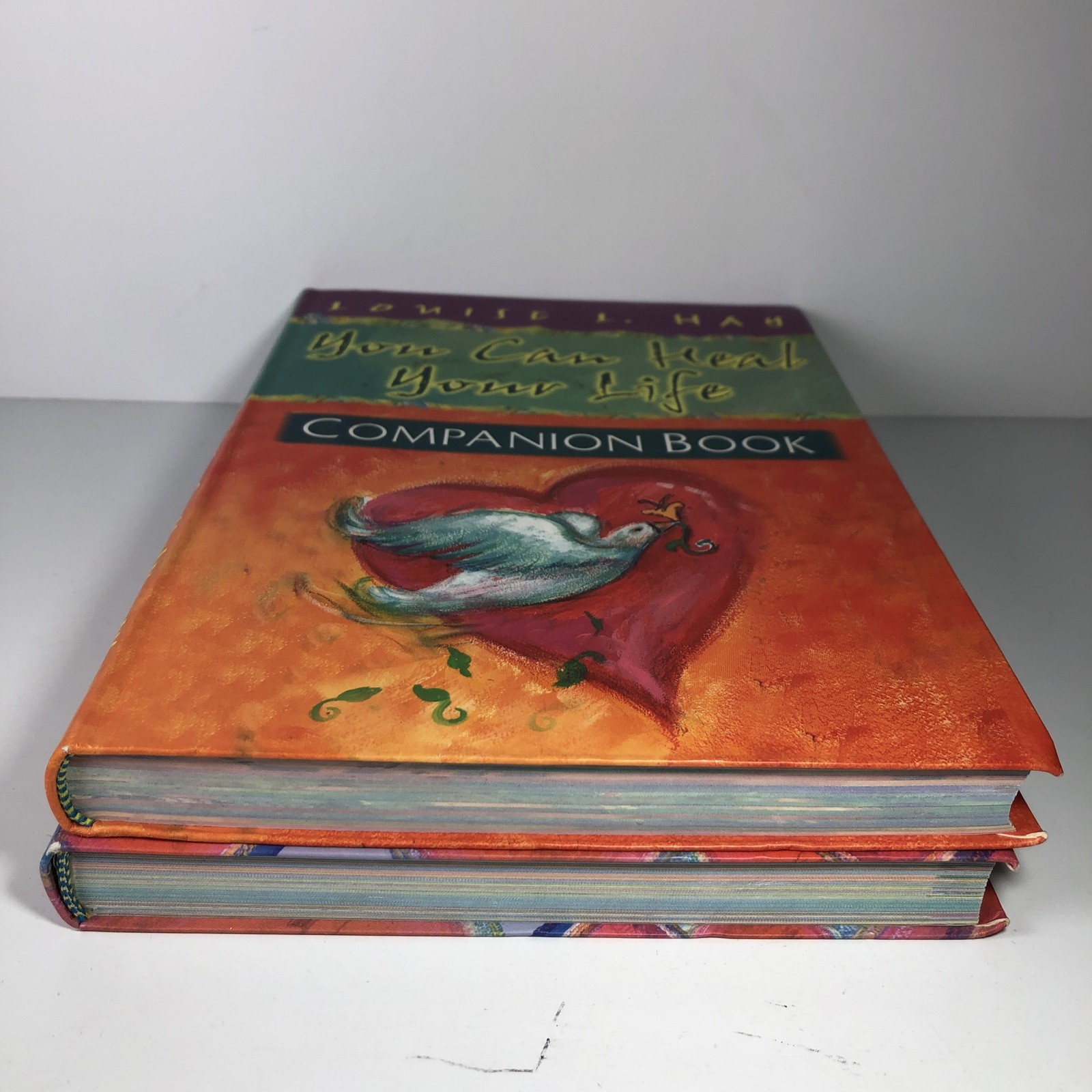 You Can Heal Your Life & Companion Book Louise L. Hay HC 2 Book Set Hay House