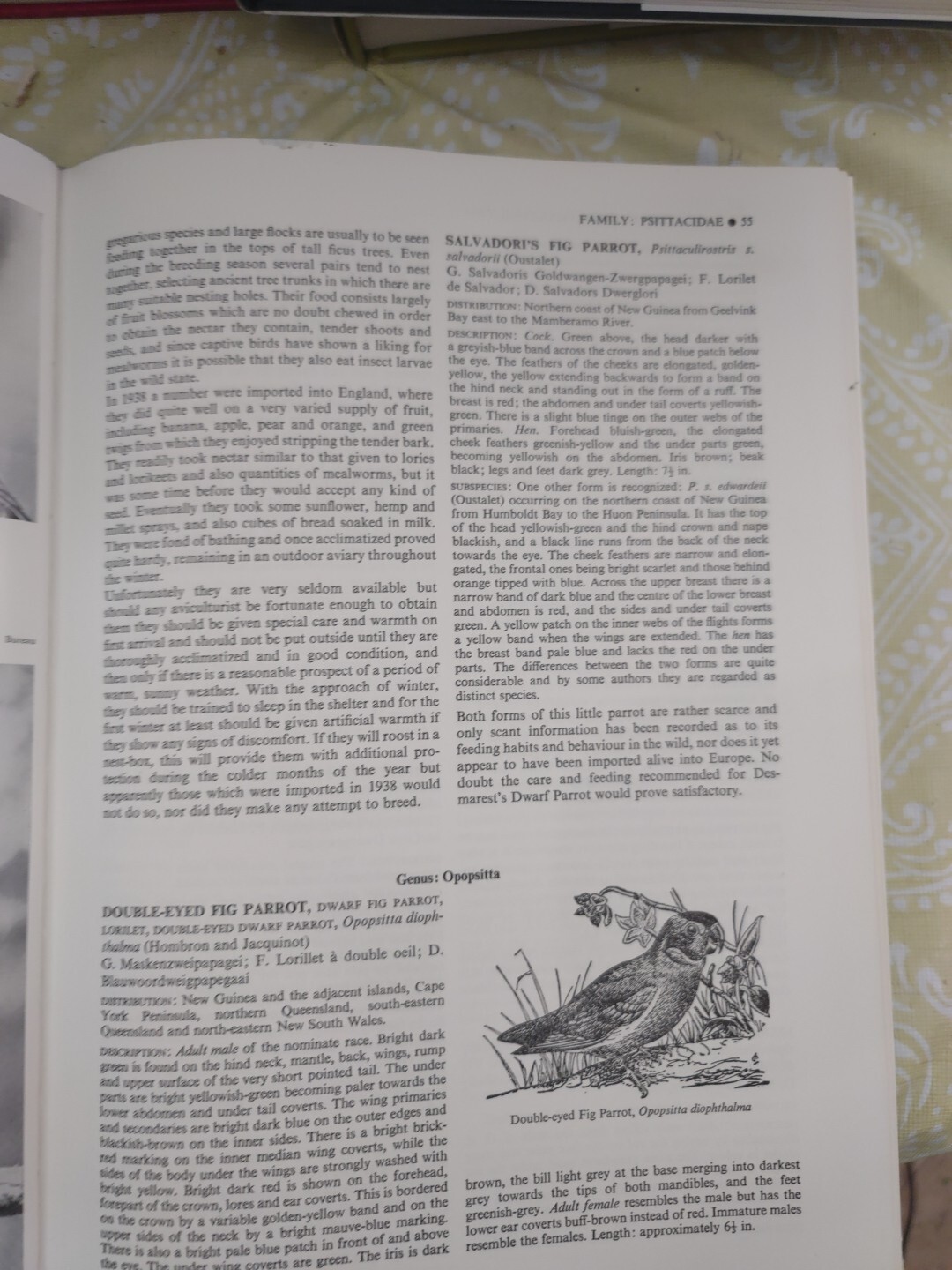 ENCYCLOPAEDIA OF AVICULTURE, (V.2) By Abram Rutgers & K A Norris – Hardcover