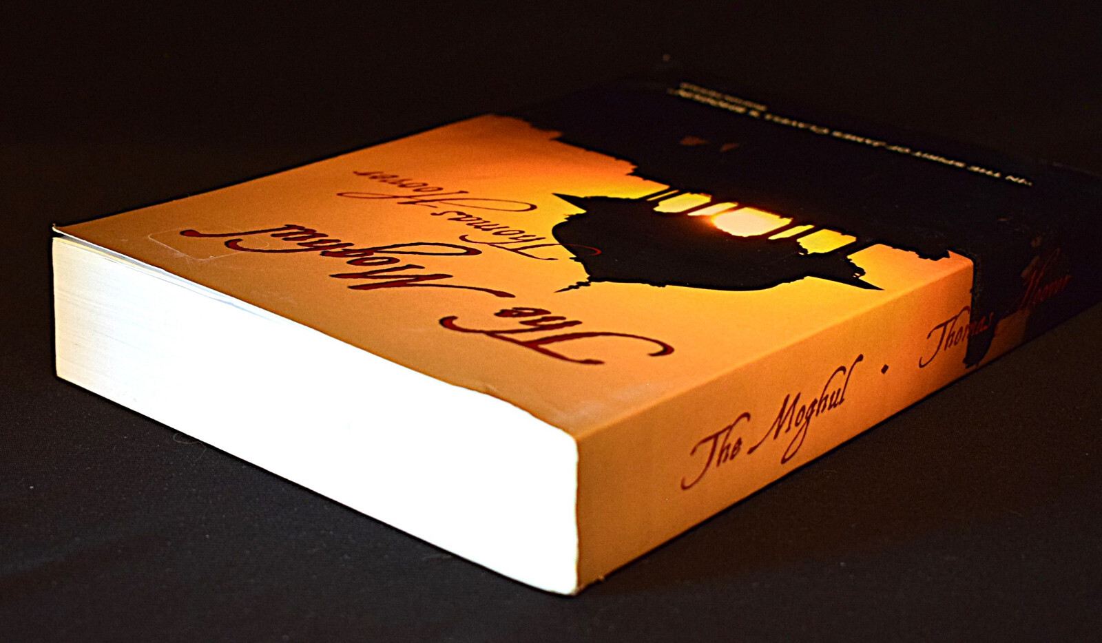 The Moghul by Thomas Hoover ~ Paperback ~ Pages 594