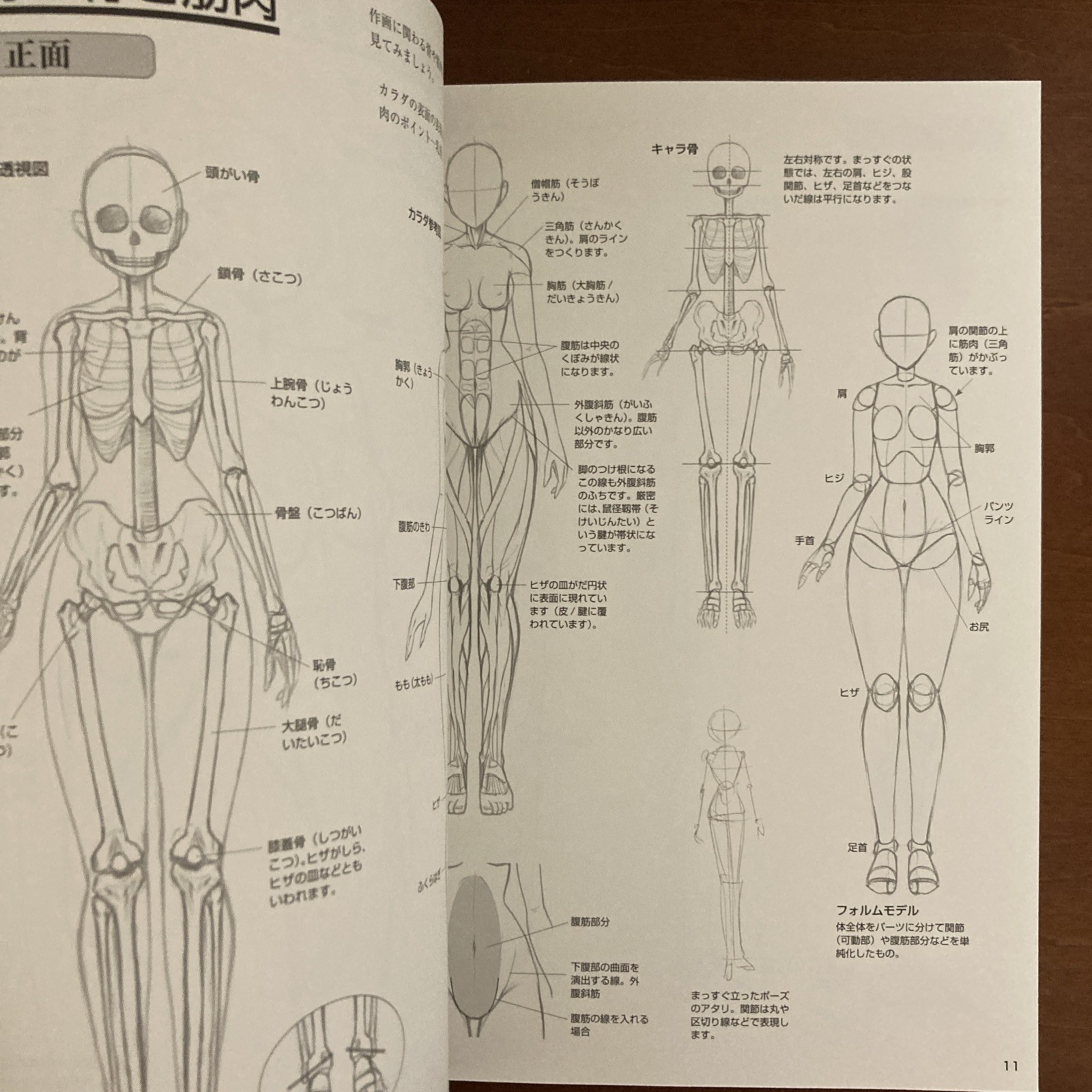 How to Draw a Girl’s Body: Character Bones and Flesh Art Book Illustration