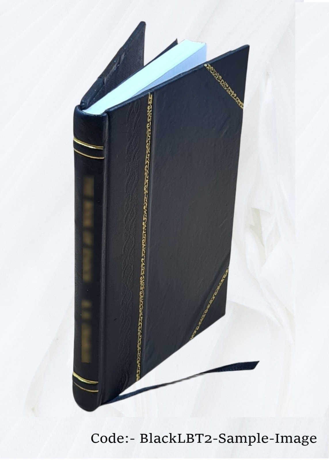 Humanitarianism Its General Principles And Progress 1906 [Leather Bound]