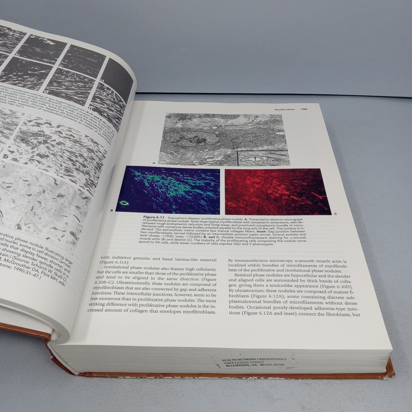 Histology for Pathologists: 3rd Edition 2007 Hardcover by Stacey E. Mills
