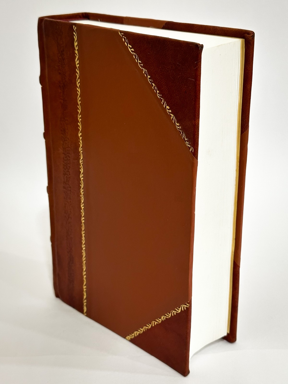 La Sankta Biblio; Malnova Kaj Nova Testamentoj Tradukitaj El La [Leather Bound]