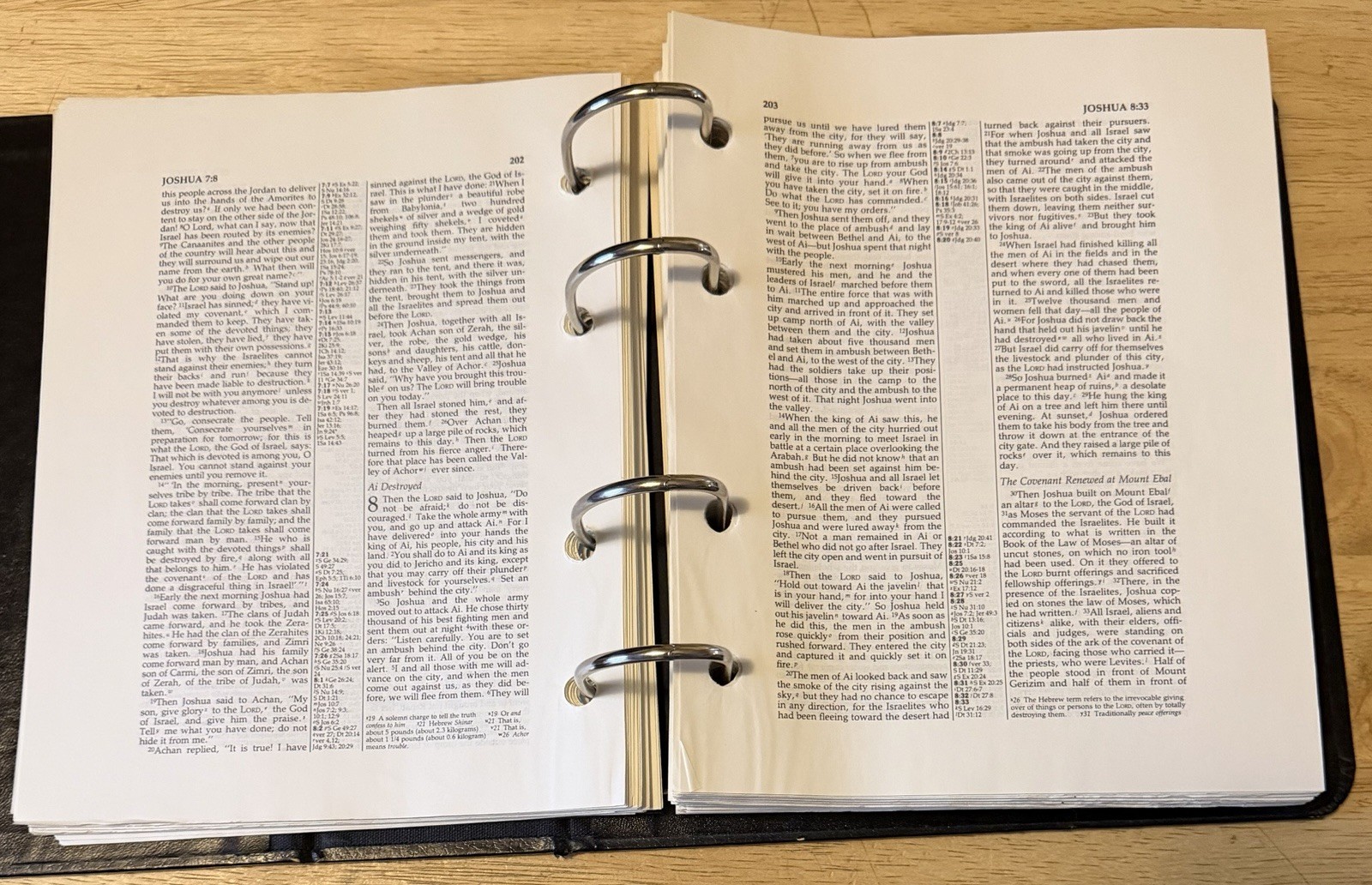 New International Version Bible: Cambridge Study Edition 1984 Loose Leaf Binder