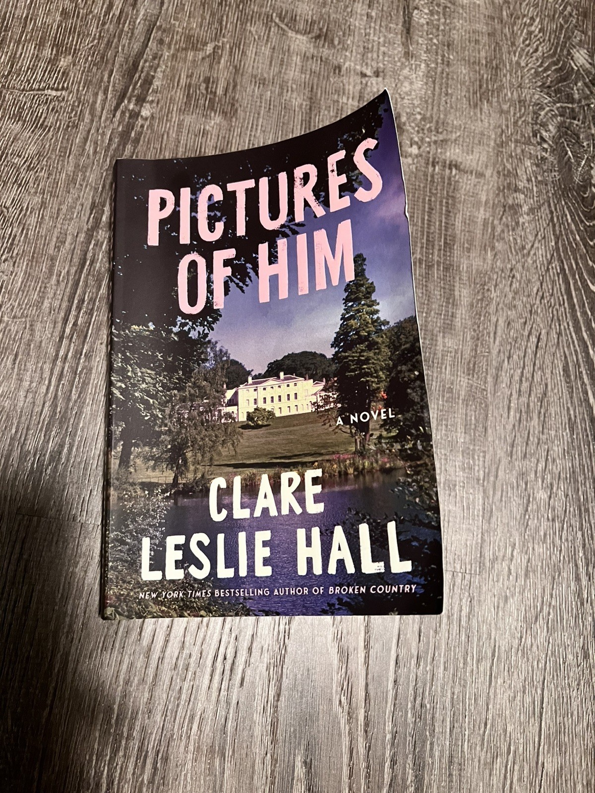 Pictures of Him – Clare Leslie Hall, Paperback, Used