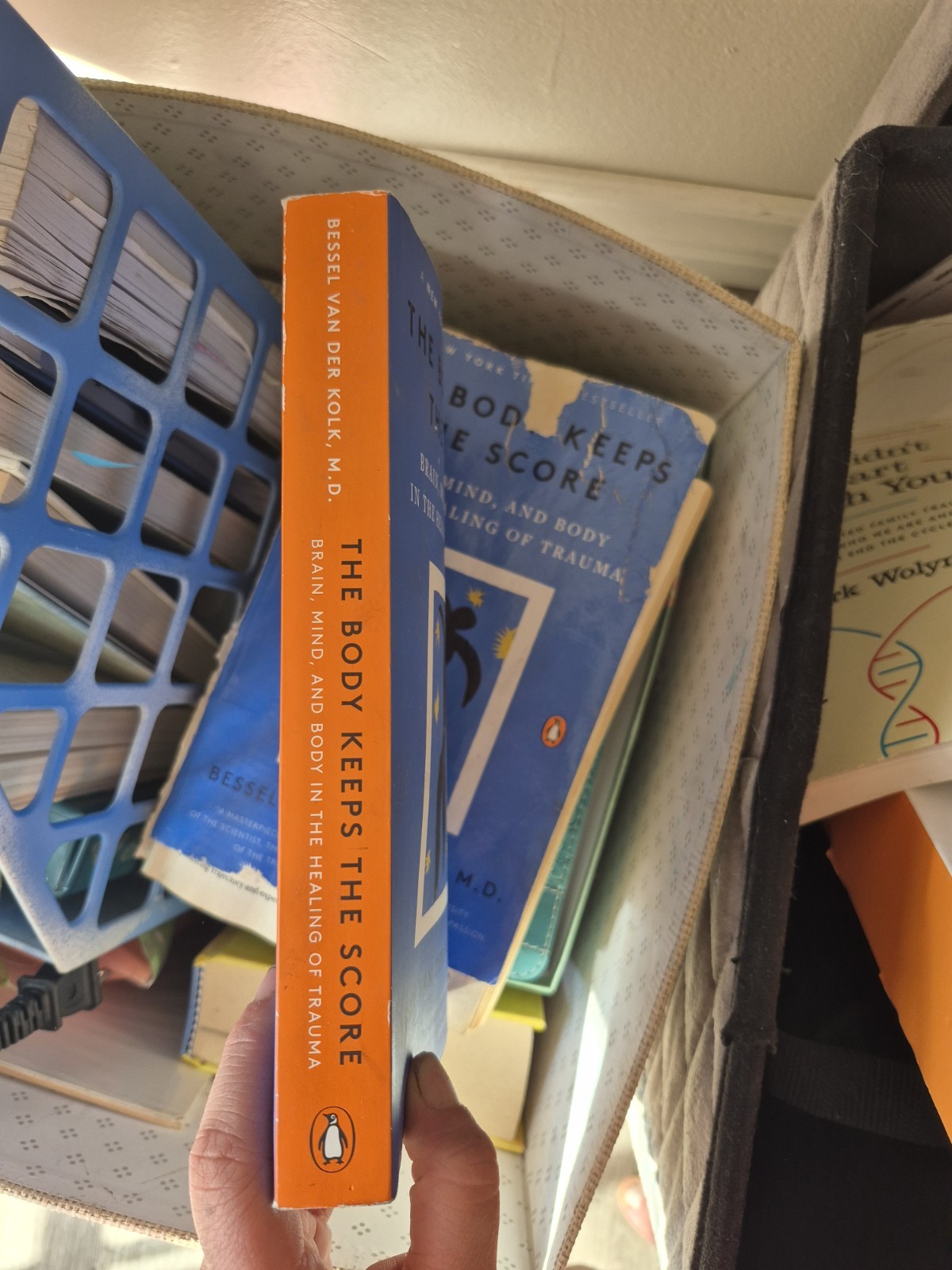 The Body Keeps the Score Paperback (2015) Bessel van der Kolk, Penguin Books
