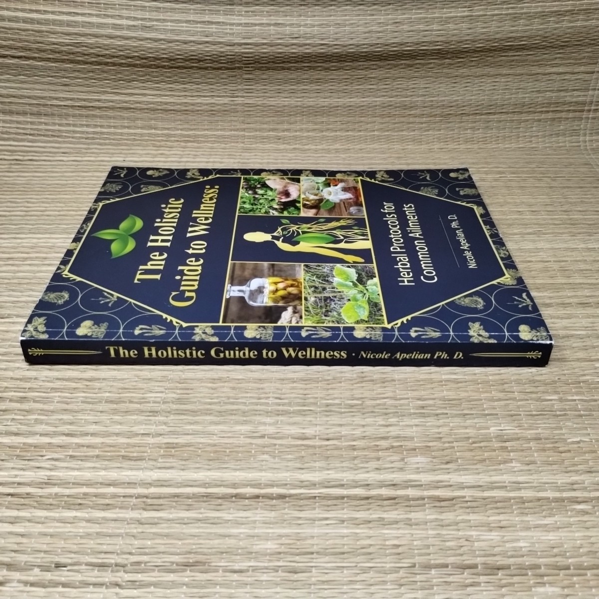 The Holistic Guide to Wellness by Nicole Apelian English Paperback Book VG