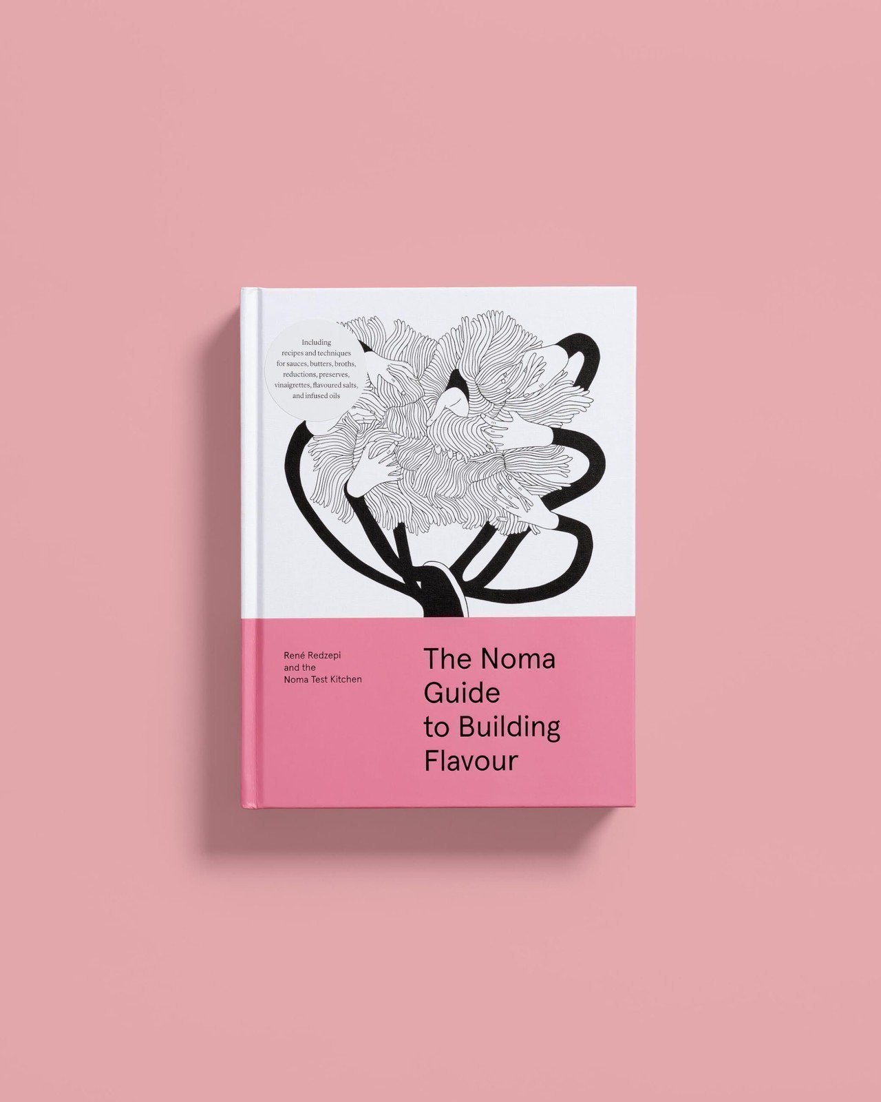 The Noma Guide to Building Flavour: Including recipes and techniques for…