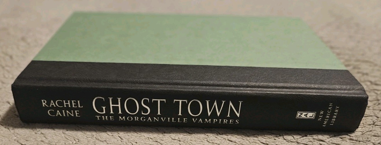 Ghost Town By By Rachel Cane