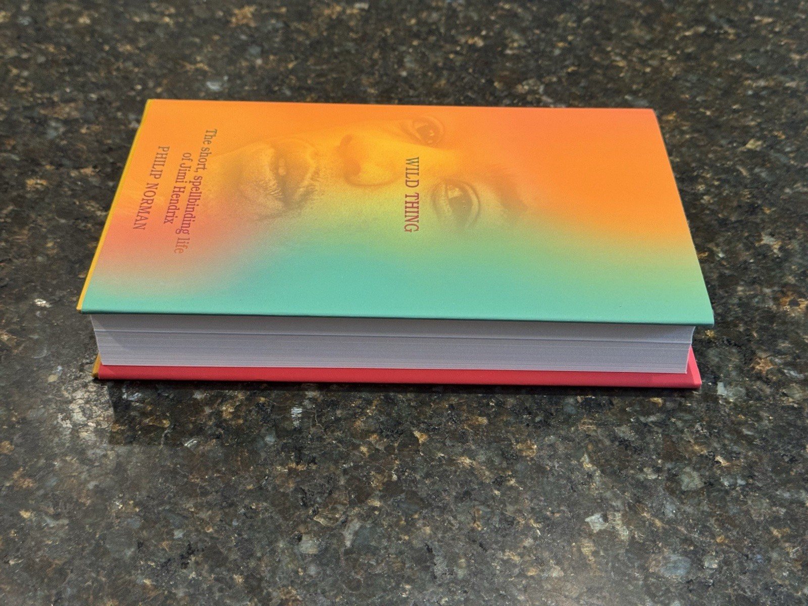 Wild Thing: The Short, Spellbinding Life of Jimi Hendrix by Philip Norman 1st ED