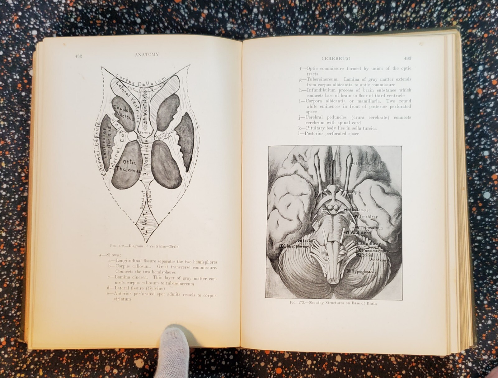Medicine And The Allied Sciences, Samuel Fomon, Volume 1, 1919, Hardcover