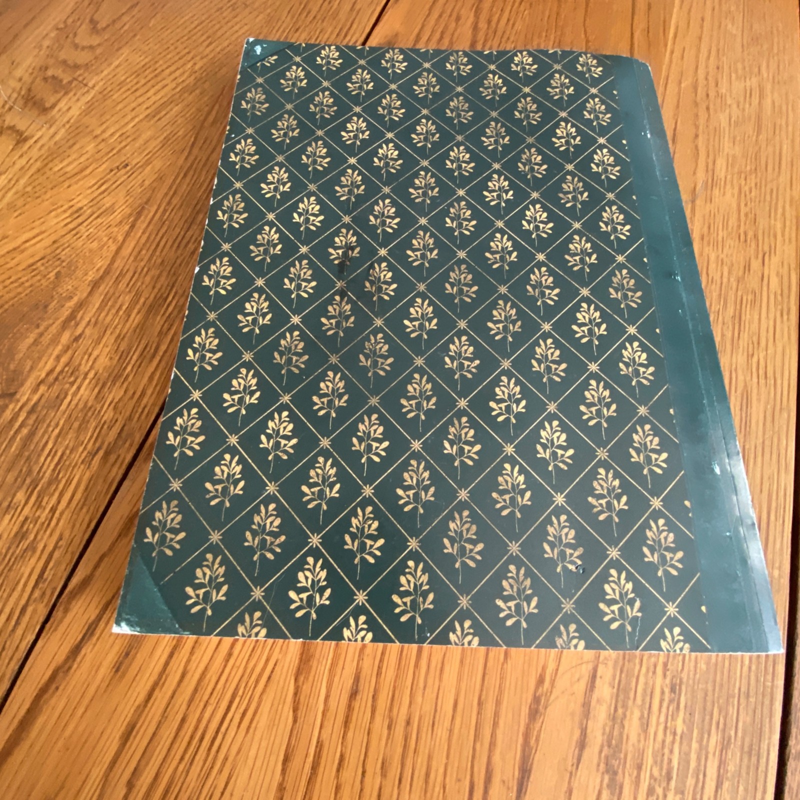 Holistic Guide to Wellness & Lost Book of Herbal Remedies Paperback