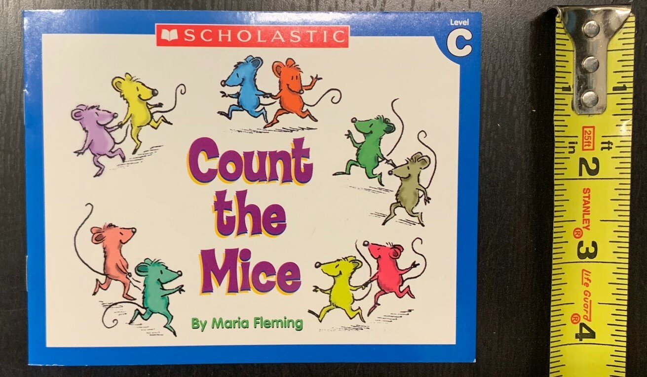 Learn to Read Books Lot 60 Easy Little Leveled Early Beginning Readers Phonics