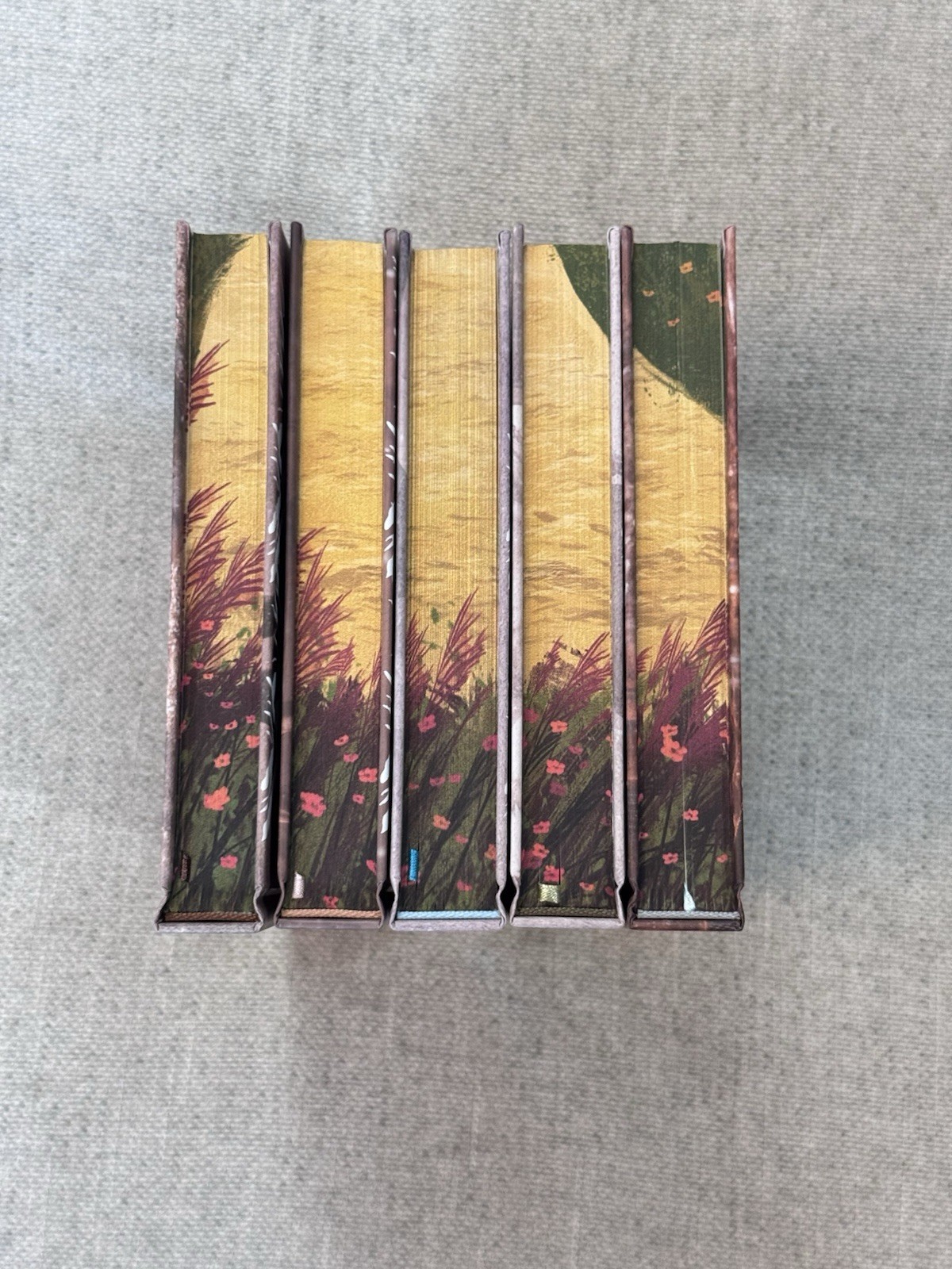 Elsie Silver Chestnut Springs Series Dark & Quirky Book Box Special Edition New